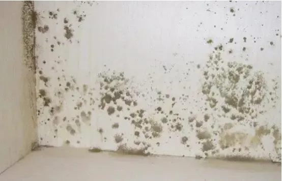 房屋装修久后，为什么会发霉？导致发霉的原因是什么？